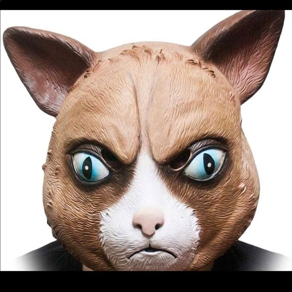 Cattitude mask Angry Cat Grumpy face